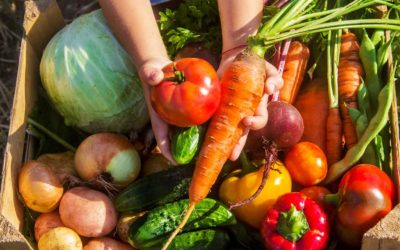 María José Hernández Alcaíno: «Disminuyeron los dolores y malestares estomacales»