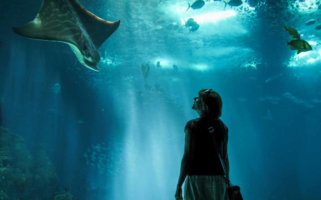 Odilvia Ceballos: «Volví a ser la de antes»