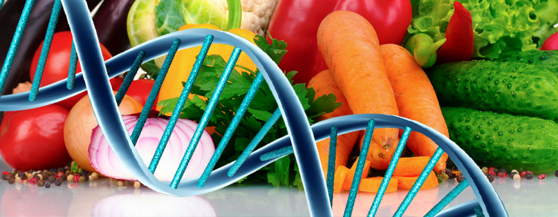 Los Mitos de la Dieta del Genotipo