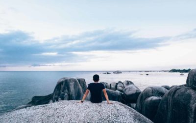 Me han otorgado mayor confianza en mi mismo y felicidad al lograr bajar de peso después de casi 3 años sin poder hacerlo