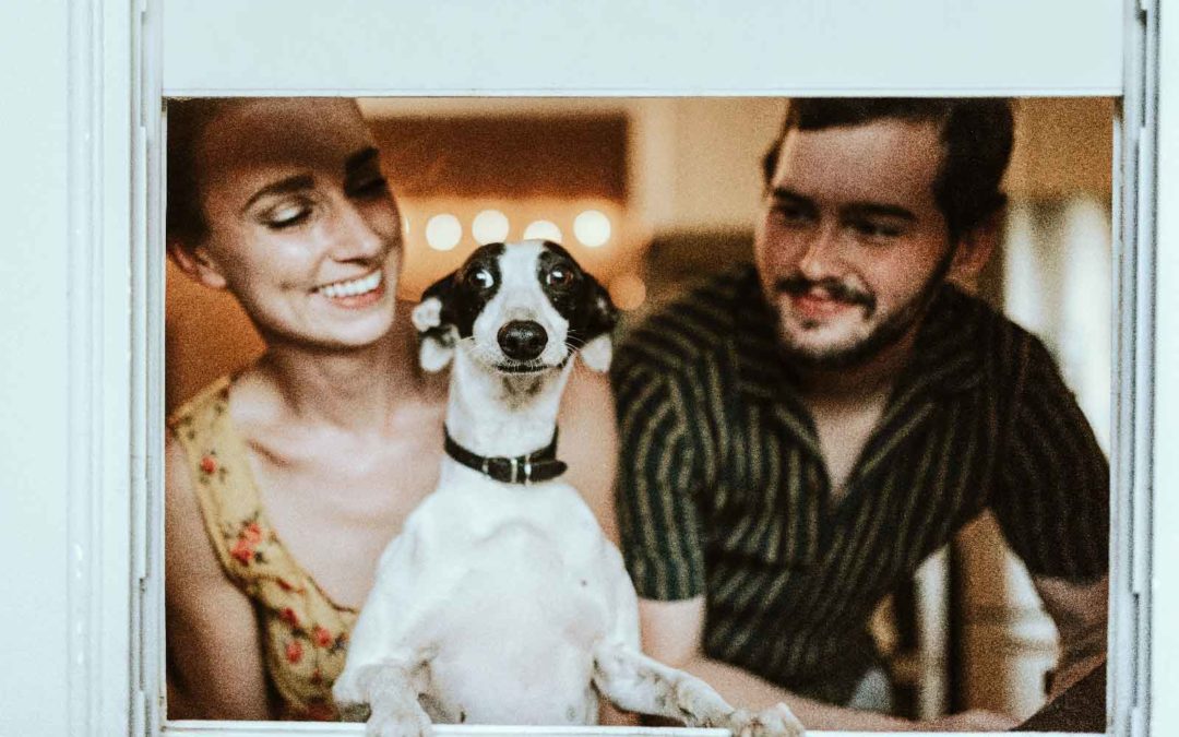 Mejoré indices lipídicos, nivel de glucosa, bajé indices grasos y mejoré estado físico y anímico.