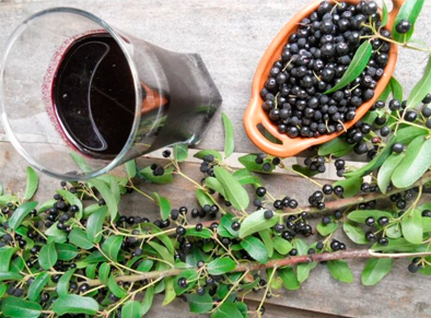 Recetas con todo el poder del Maqui